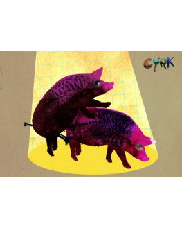 Circus (two pigs)