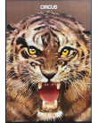 Circus (Roaring tiger face)